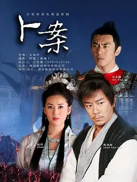 卜案 2012 电视剧 海报