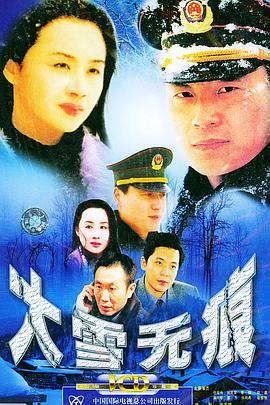 大雪无痕 2001 电视剧 海报