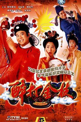 醉打金枝（国语版） 1997 电视剧 海报