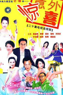 将装修进行到底 2004 电视剧 海报