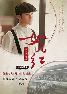 女儿红2017 2017 电视剧 海报