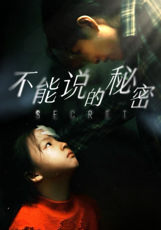 不能说的秘密 2024 2024 短剧 海报