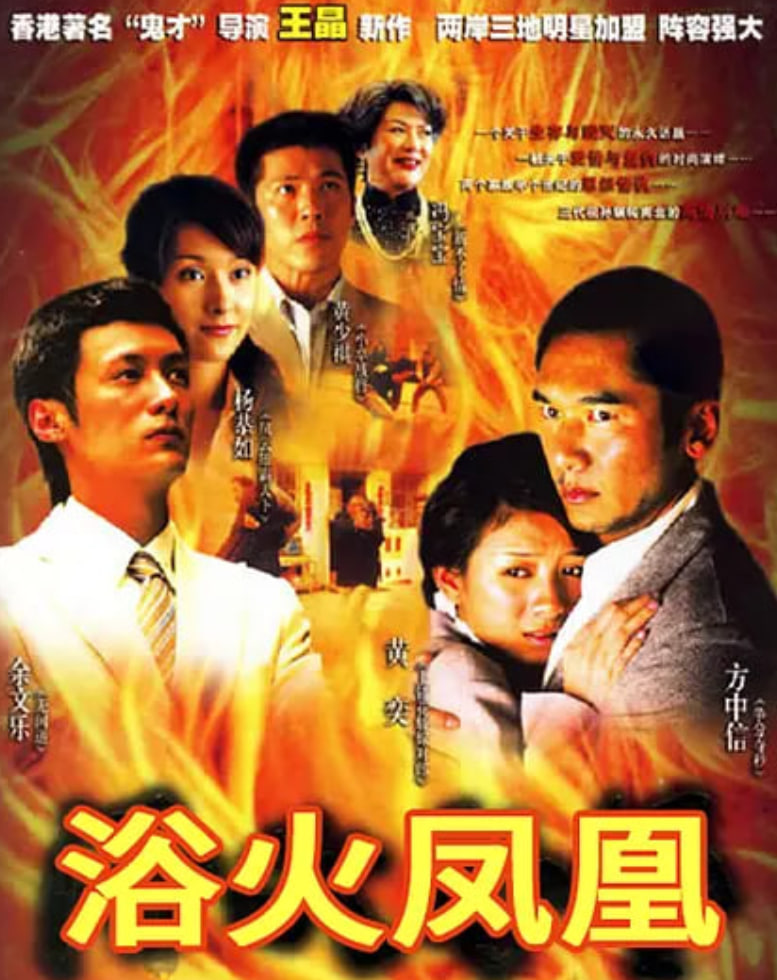 浴火凤凰 2006 电视剧 海报
