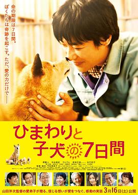 向日葵与幼犬的7天 2013 电影 海报