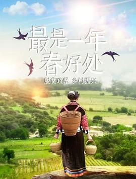 最是一年春好处 2020 纪录片 海报
