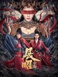展昭·探案 2025 电影 海报