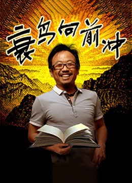 衰鸟向前冲 2013 电影 海报