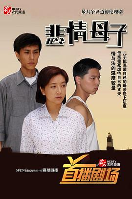 悲情母子 2006 电视剧 海报