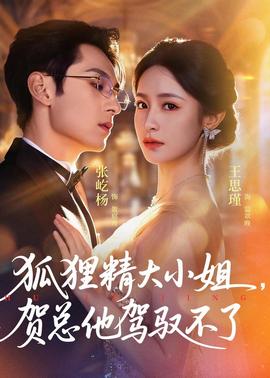 狐狸精大小姐,贺总他驾驭不了 2026 短剧 海报