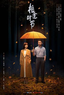 相逢时节 2022 电视剧 海报