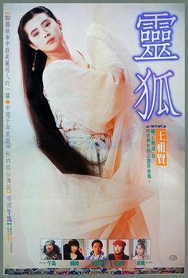 灵狐 1991 电影 海报
