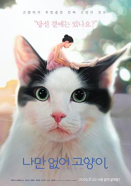 只有我没有猫 2019 电影 海报