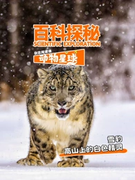 科探秘动物星球：高山上的白色精灵雪豹 2026 综艺 海报