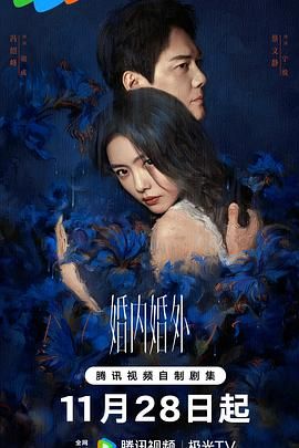 婚内婚外 2024 电视剧 海报