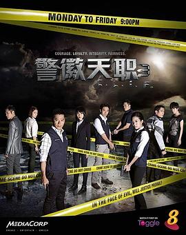 警徽天职 2011 电视剧 海报