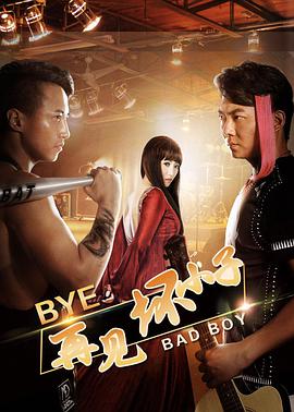 再见坏小子 2016 电影 海报