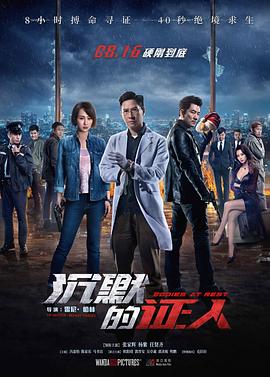 沉默的证人(国语版) 2019 电影 海报