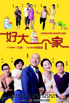 好大一个家 2015 电视剧 海报