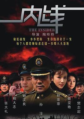 内线 2009 电视剧 海报