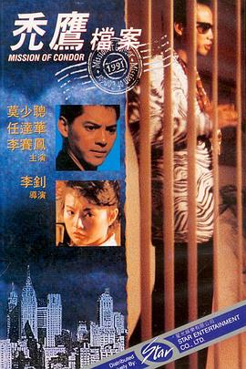 秃鹰档案 1991 电影 海报