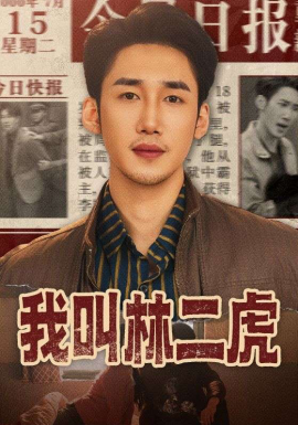 我叫林二虎 短剧 海报