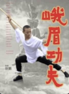 峨眉功夫 2025 电影 海报