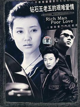 钻石王老五的艰难爱情 2007 电视剧 海报