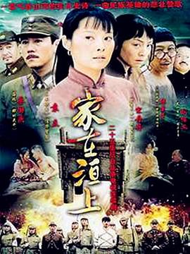 家在洹上 2009 电视剧 海报