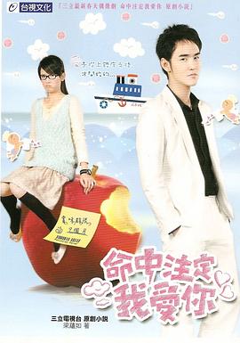 命中注定我爱你 2008 电视剧 海报