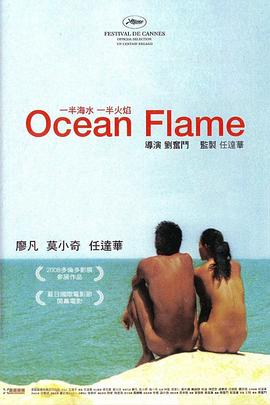 一半海水一半火焰 2008 电影 海报