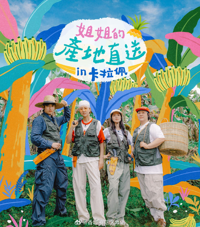 姐姐家的产地直送3 2026 综艺 海报