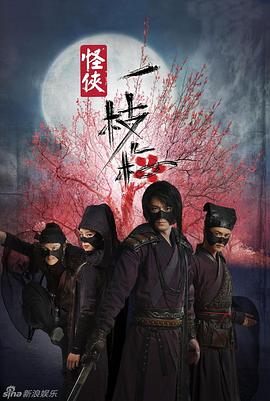 怪侠一枝梅 2010 电视剧 海报