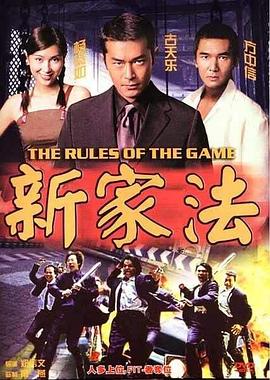 新家法粤语 1999 电影 海报