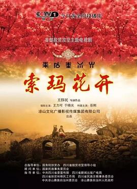索玛花开 2017 电视剧 海报