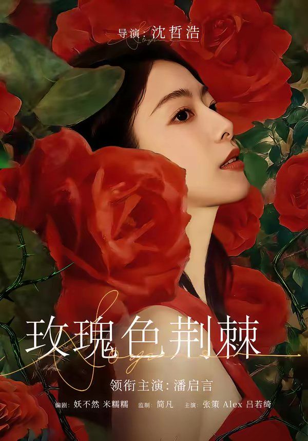 玫瑰色荆棘 2026 短剧 海报