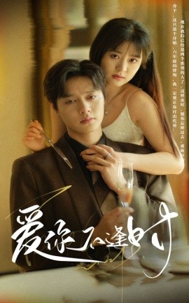 爱你不逢时 短剧 海报