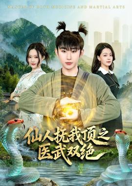 仙人抚我顶之医武双绝 2026 短剧 海报