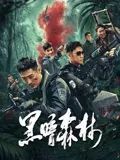 黑暗森林 2024 电影 海报