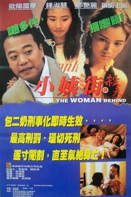 二奶村之杀夫 1995 电影 海报