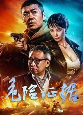 危险证据 2024 电影 海报