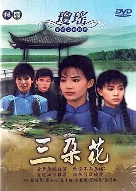 三朵花 1990 电视剧 海报