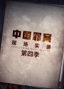 罪案现场实录 第四季 2021 纪录片 海报