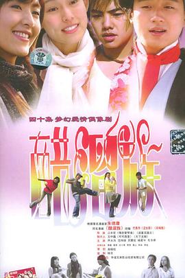 醋溜族 2004 电视剧 海报
