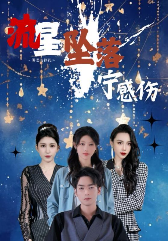 流星坠落宁感伤 2025 短剧 海报