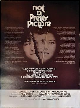 不是幅漂亮局面 1976 电影 海报