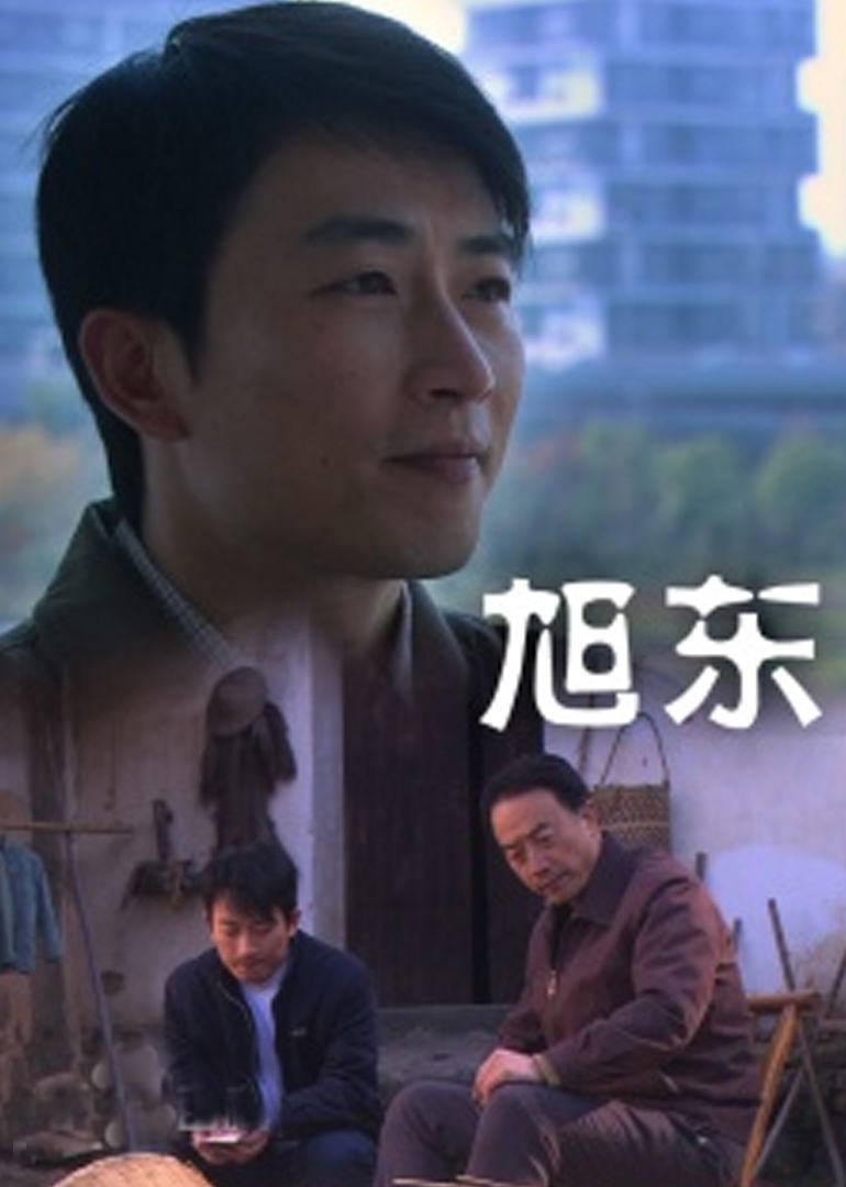 旭东 2010 电影 海报