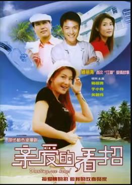 亲爱的，看招 2005 电视剧 海报