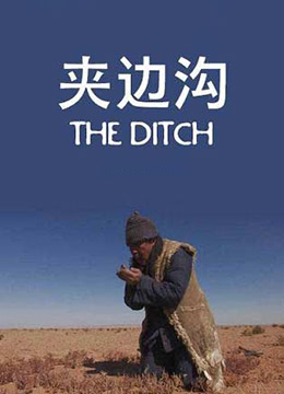 夹边沟 2010 电影 海报