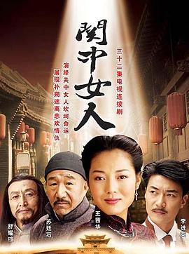 关中女人 2005 电视剧 海报