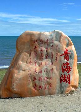 丝绸之路青海道 2020 纪录片 海报